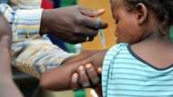 JUST IN: 8 killed in fresh meningitis outbreak in Katsina