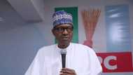 Buhari’s 2019 presidency is good news for Igbos - APC chieftain insists