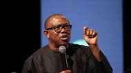 What senators earn is peanuts, compared to governors - Ex governor reveals stunning details of allowances of state chief executives