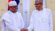 Kowa ya bar gida: Guda cikin Sanatoci 15 da suka fice daga APC ya yi mi’ara koma baya