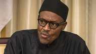 Plagiarism saga: Buhari sacks media aide