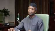 Just in: Osinbajo presides over FEC meeting as acting president