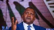 Yan bindiga dadi sun bindige wani na hannun daman Aliko Dangote