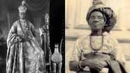 The audacious story of Funmilayo Ransome Kuti, the woman who chased the Alake of Egbaland from the throne in 1949