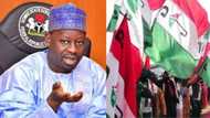 Opposition PDP reportedly considering Dankwanbo against Buhari in 2019