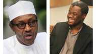 Nigerians are being deceived on the health status of President Buhari - Dr Peregrino Brimah