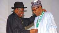 2023 presidency: Buhari's minister lands in trouble after making allegations against Jonathan