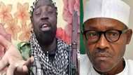 MUST READ: How President Buhari Can Stop Boko Haram - Prophet