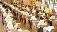 Malpractice: WAEC bans private school teachers from supervising