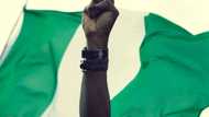 30 facts about 1979 Nigerian constitution everyone should know