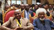 REVEALED: How Much Amaechi Spent On A 3-Hour Dinner With Soyinka