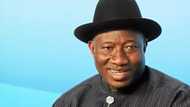 Jonathan's lifestyle is humble, he's the poorest of all Nigerian past presidents - Former ambassador