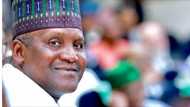 Ina zawarawa da 'yan mata, Dangote yace yana bukatar sake kara mata