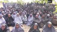 New Military Tactics By Buhari Will Bring Chibok Girls Back - Lawmaker