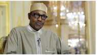 This is a great political miscalculation - Group tells APC defectors, says Buhari can do without them