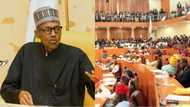 Electoral act issue between presidency and House of Assembly is no constitutional crisis - Famous professor