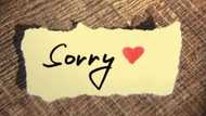 Top ♥ apology text messages for him and her