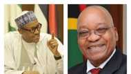 Prosecute killers of 116 Nigerians now, Buhari tells Zuma