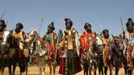 Hawan daushe: Yan kwankwasiyya da Gandujiyya sun sassari juna a Kano (hotuna)