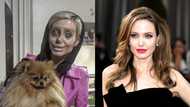 19-year-old Iran girl underwent 50 surgeries to look like beautiful Angelina Jolie - Look at the result