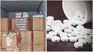 10 different brands of banned substances including Tramadol packaged as noodles seized from smugglers