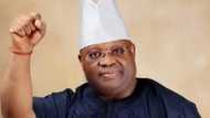 Osun PDP members drag Senator Adeleke to court over alleged forged certificate