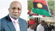 Ohanaeze Ndigbo explains why Igbo leaders reject Biafra