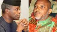 Nigeria has not given or done anything for me, pro-Biafra activist writes to Osinbajo