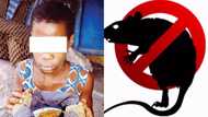14-year-old maid puts rat poison in master's food, SEE her reason (photo)