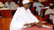 UPDATE: Ali Ndume kicks after APC lawmakers remove him as Senate majority leader
