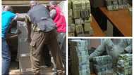 See the staggering cash EFCC discovered in secret bunker owned by former NNPC GMD (photos)