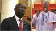 Dino Melaye’s corruption allegations lack facts - Fashola insists