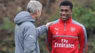 Dalilin da yasa Alex Iwobi ya zabi bugawa Najeriya wasa a maimakon Ingila - Wenger