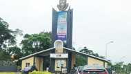 OAU lecturer scandal: Group reacts as panel denies female student's lawyer attendance at sitting