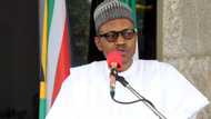 Boko Haram insurgents have been degraded - President Buhari insists
