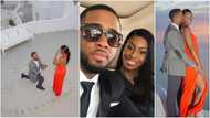 Romantic man takes his girlfriend on a trip to Greece to propose to her (photos)