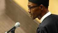 JUST IN: President Buhari delivers powerful speech in New York (Photos)