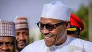 With Buhari, your future is assured - APC lawmakers tell youths, endorse president’s re-election