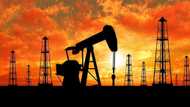 Only important information about development of crude oil production in Nigeria