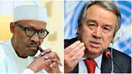 How Boko Haram has hindered demarcation of Cameroon-Nigeria border - UN reveals