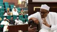 House of Reps speak on 'doctrine of necessity' for President Buhari