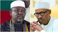 2019: What Buhari told us concerning his plans for re-election - Okorocha reveals