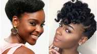 Check out best protective hairstyles for natural hair