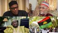 It's Buhari that should be arrested not Nnamdi Kanu - IPOB fumes