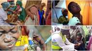 Relief comes as FG vaccinates over 420,000 against meningitis