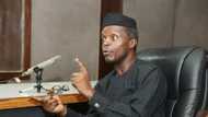 There is no planned agenda to eliminate Benue people - Osinbajo insists