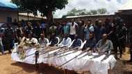 Kidnappers meet their waterloo as Nigerian police swoop in and make arrests, confiscate various weapons (photos)