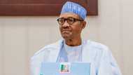 Presidency: Buhari reveals what will happen before his tenure ends in 2023