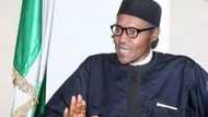 Buhari Sued By Igbo Activist Over New Customs Boss Appointment