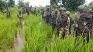 Just in: Troops neutralise 3 female bombers in Borno